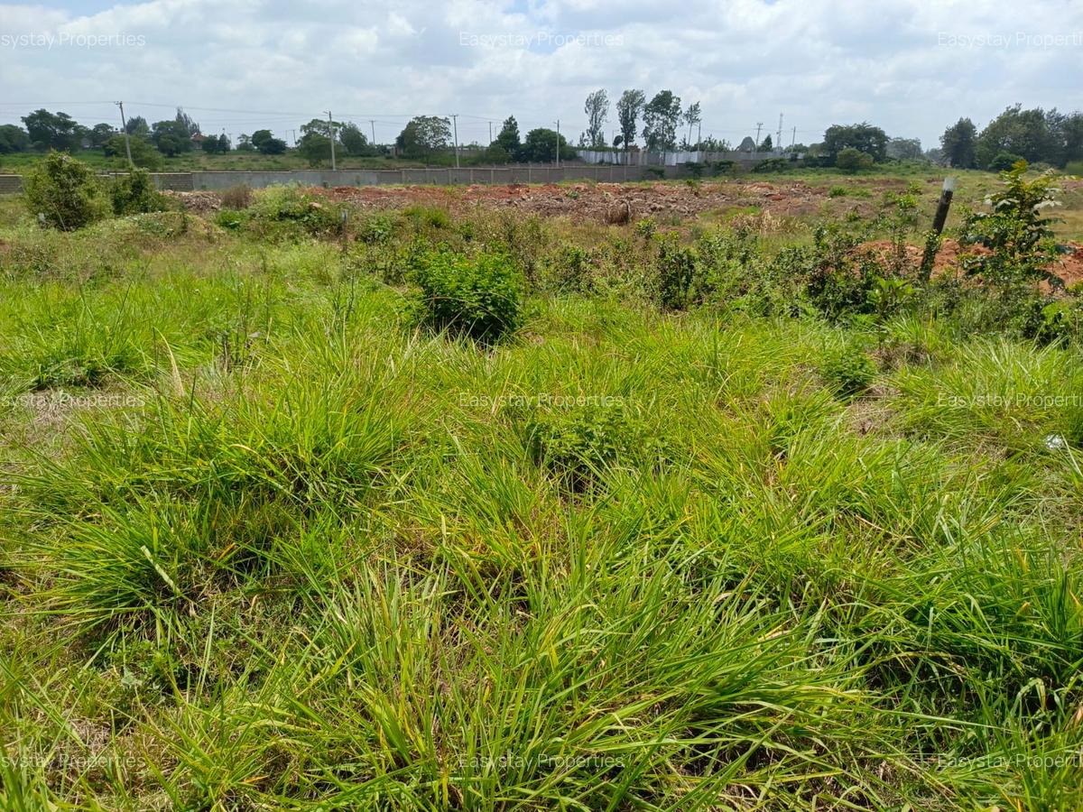 Land in Muthaiga - 5
