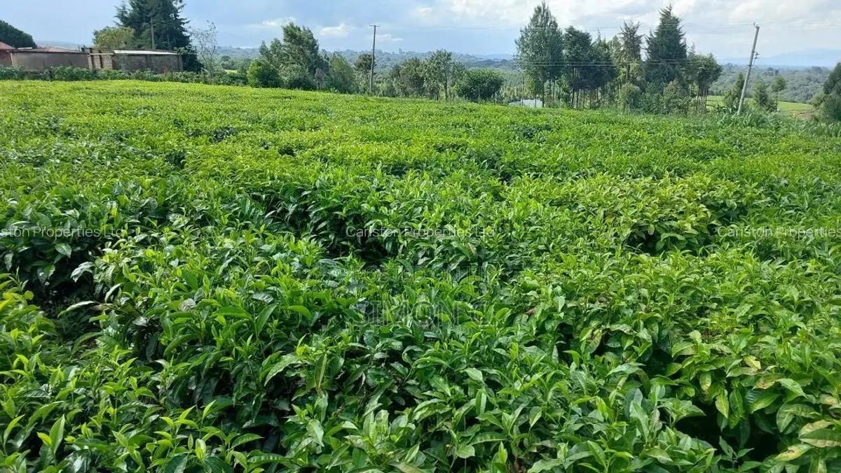 Residential Land in Githunguri - 4