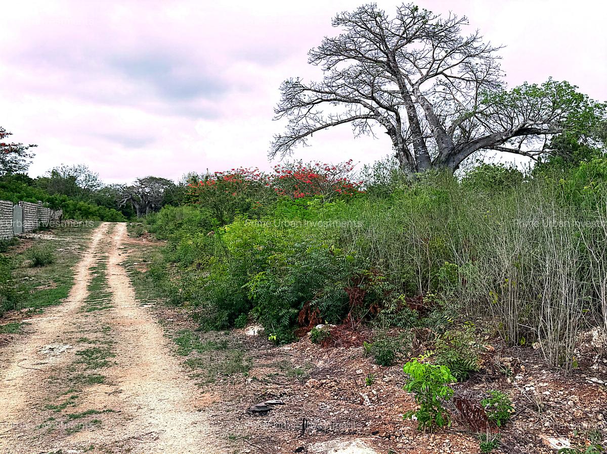 10 ac Land at Kuruwitu Vipingo - 12