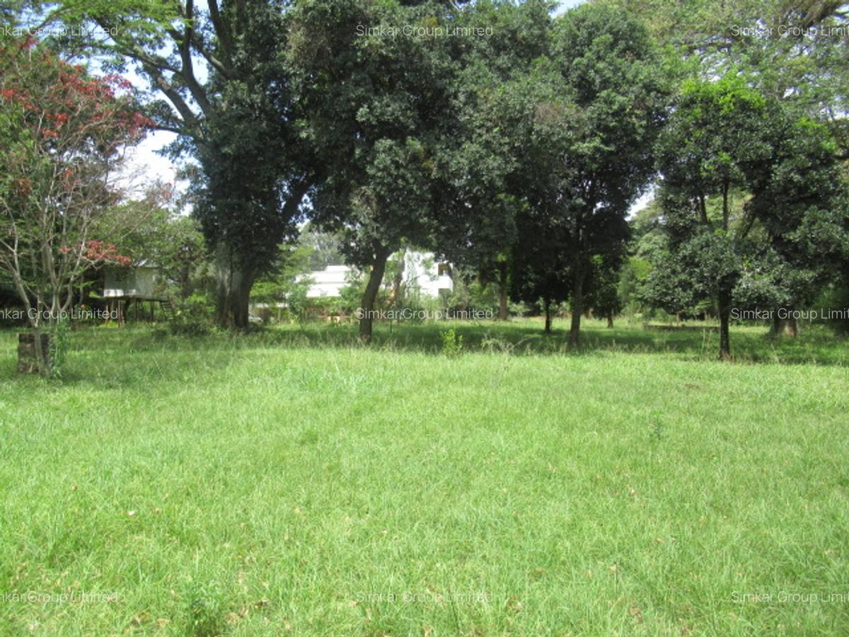Land at Koitobos Rd - 2