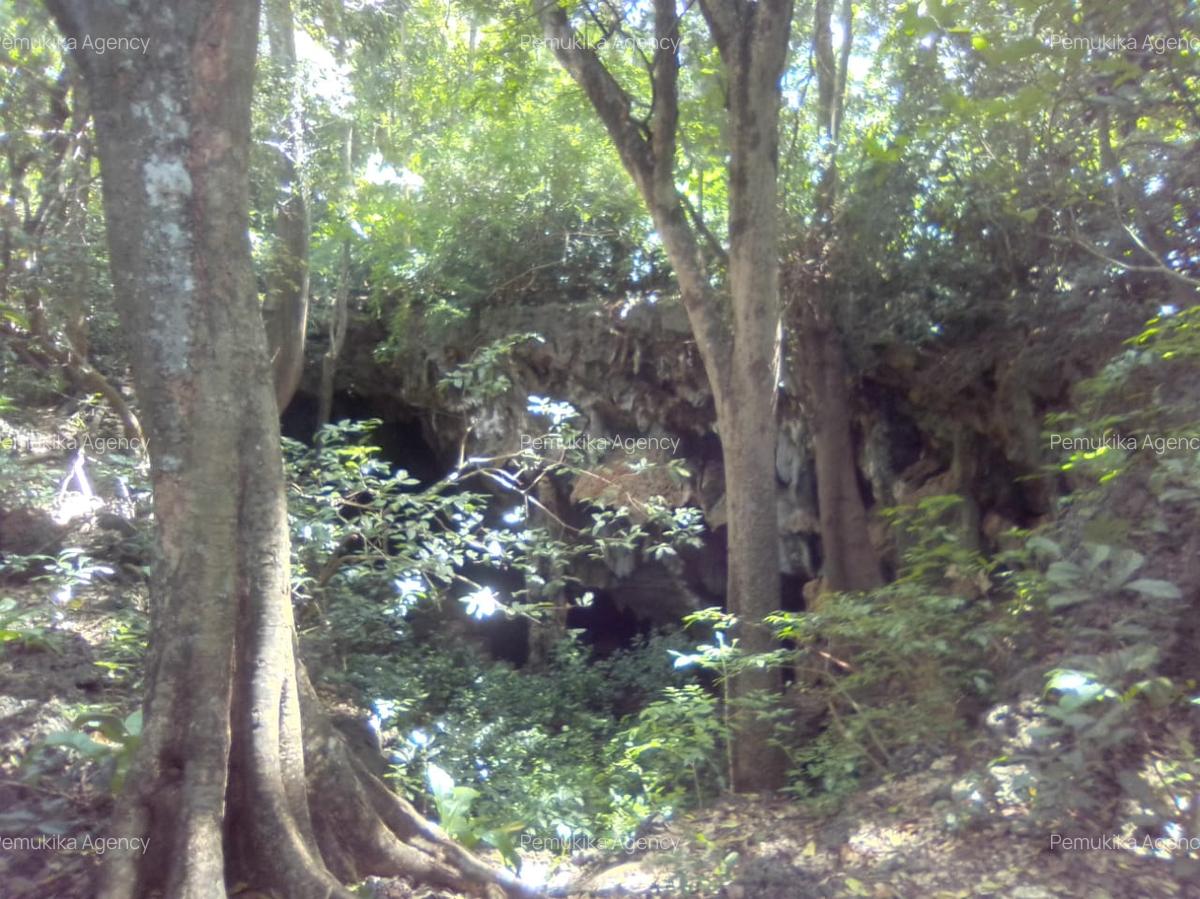 Commercial Land in Vipingo - 7