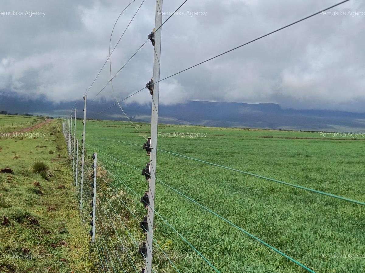 314 ac Land at Timau - 7