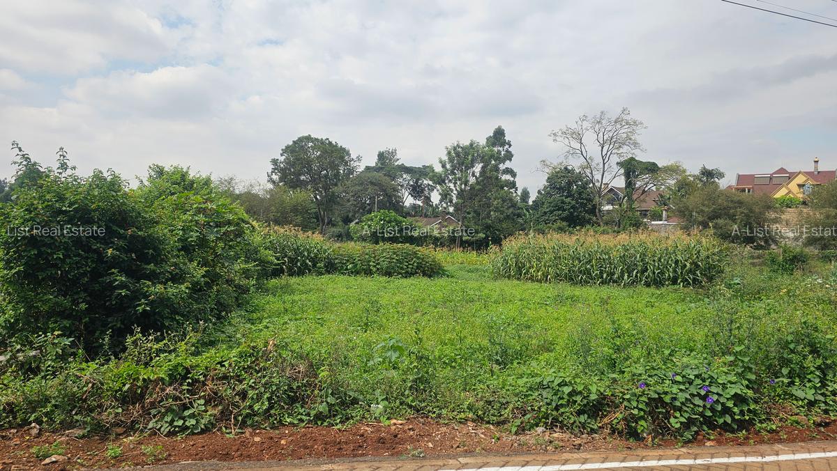 0.365 ac Land at Mushroom Road - 6