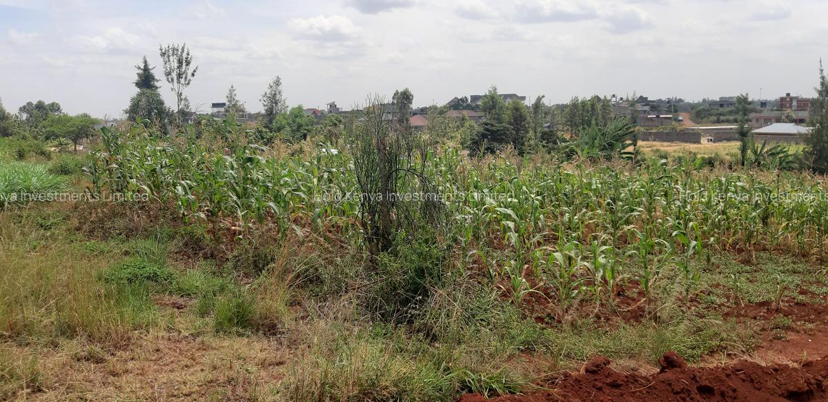 0.125 ac Residential Land at Riverside Drive - 7
