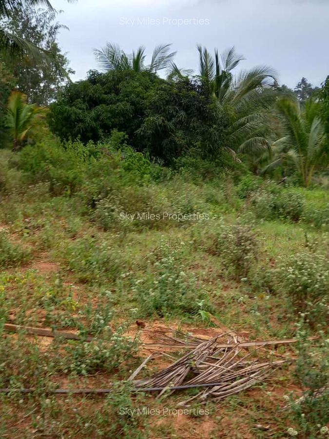 6 m² Land at Bomani - 15