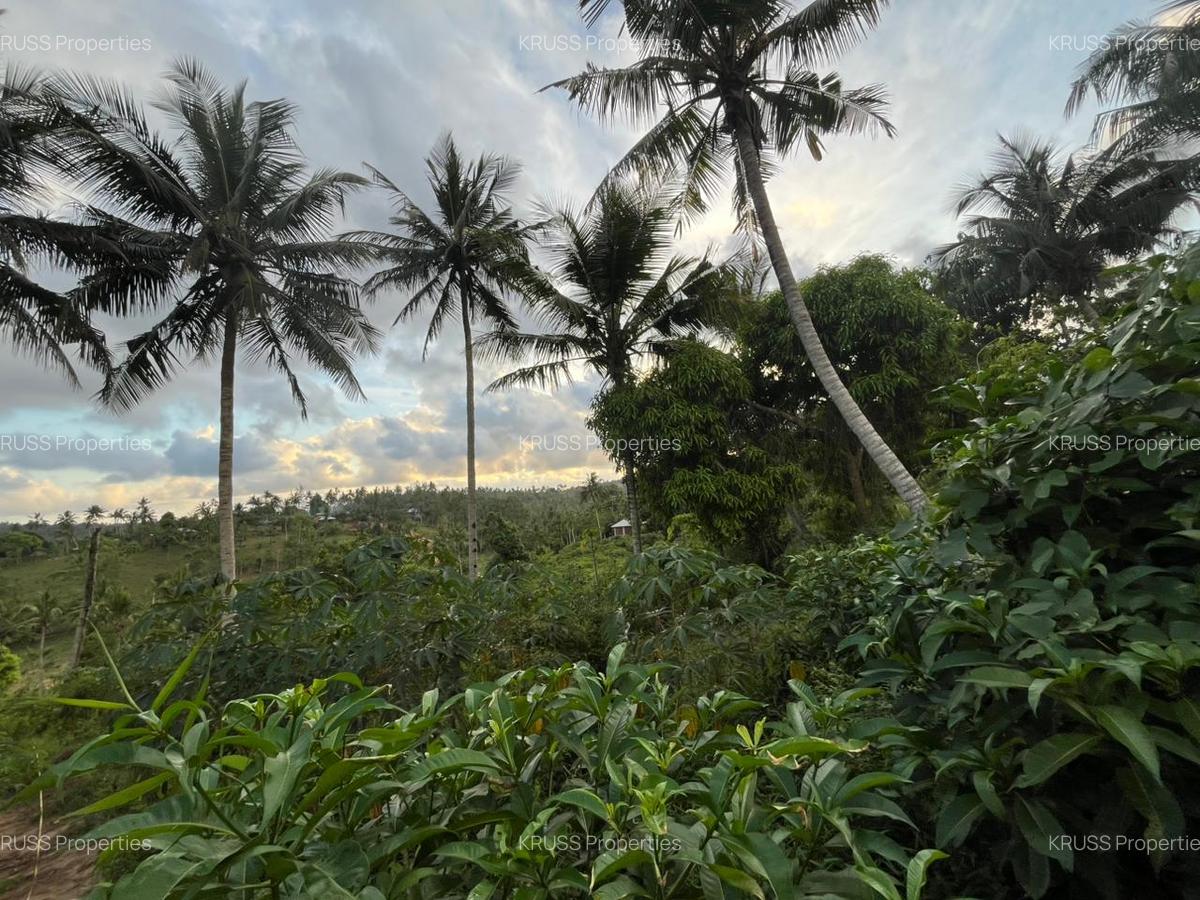 0.75 ac Land at Ls139 - 6
