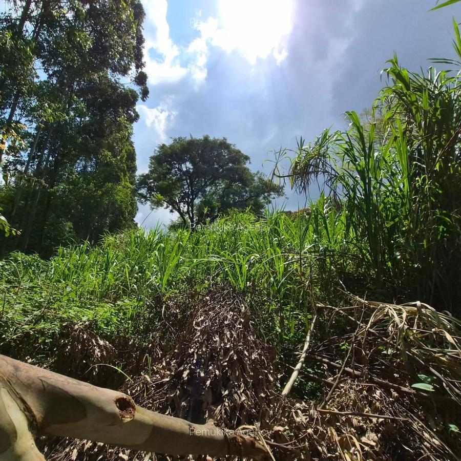 Commercial Land in Kitisuru - 3