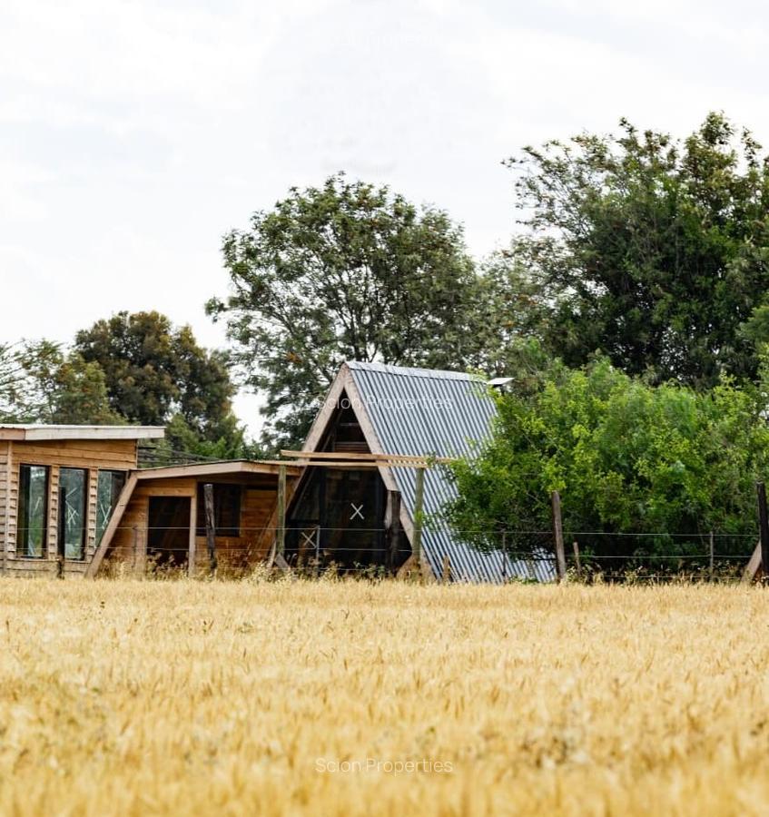 0.125 ac Residential Land in Nanyuki - 14