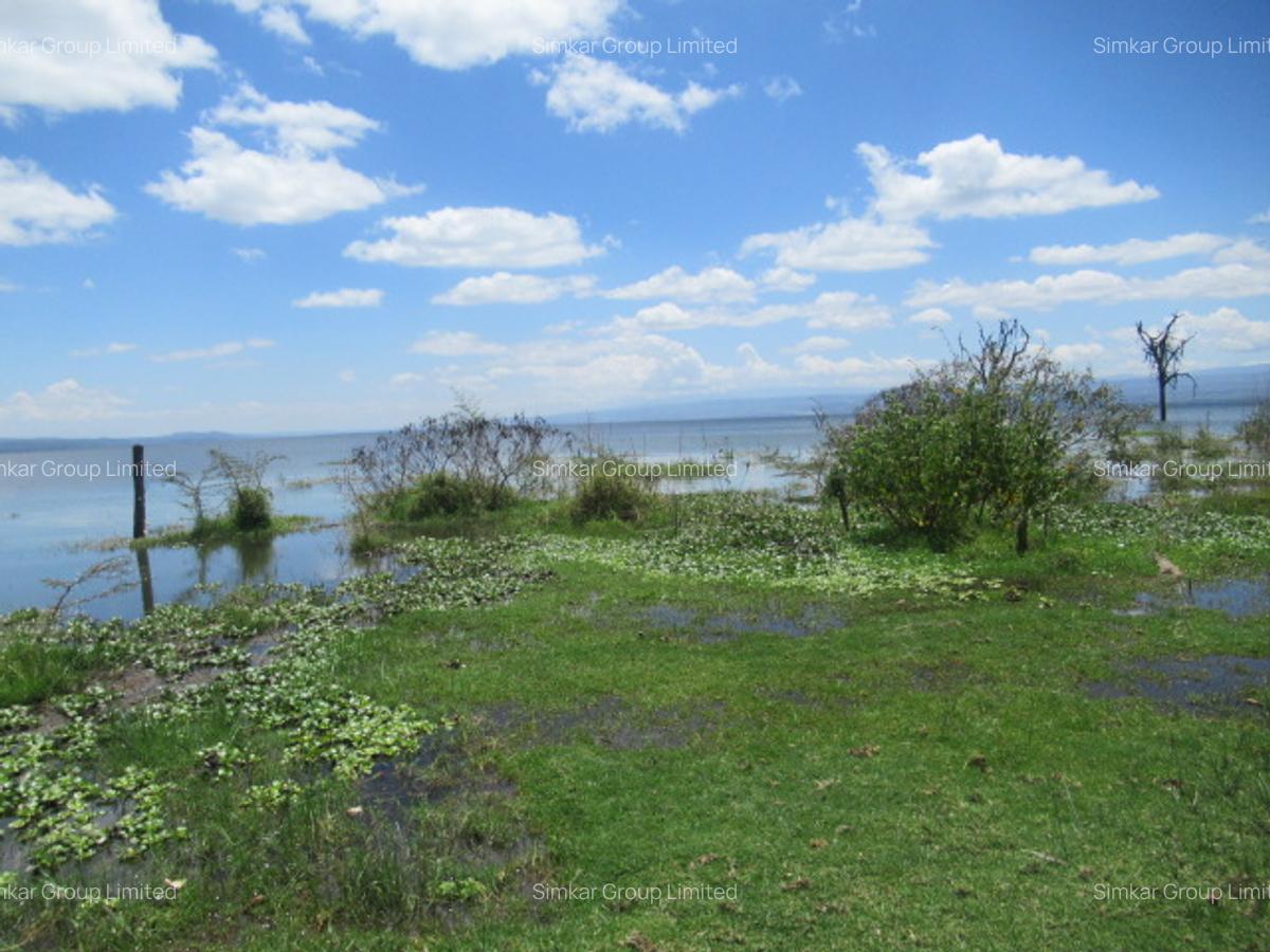 25 ac Land at Moi S Lake Rd - 1