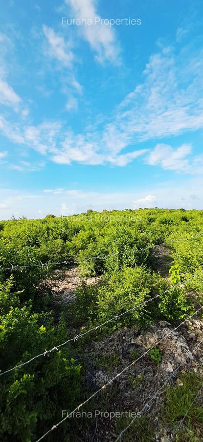 Land at Watamu - 8