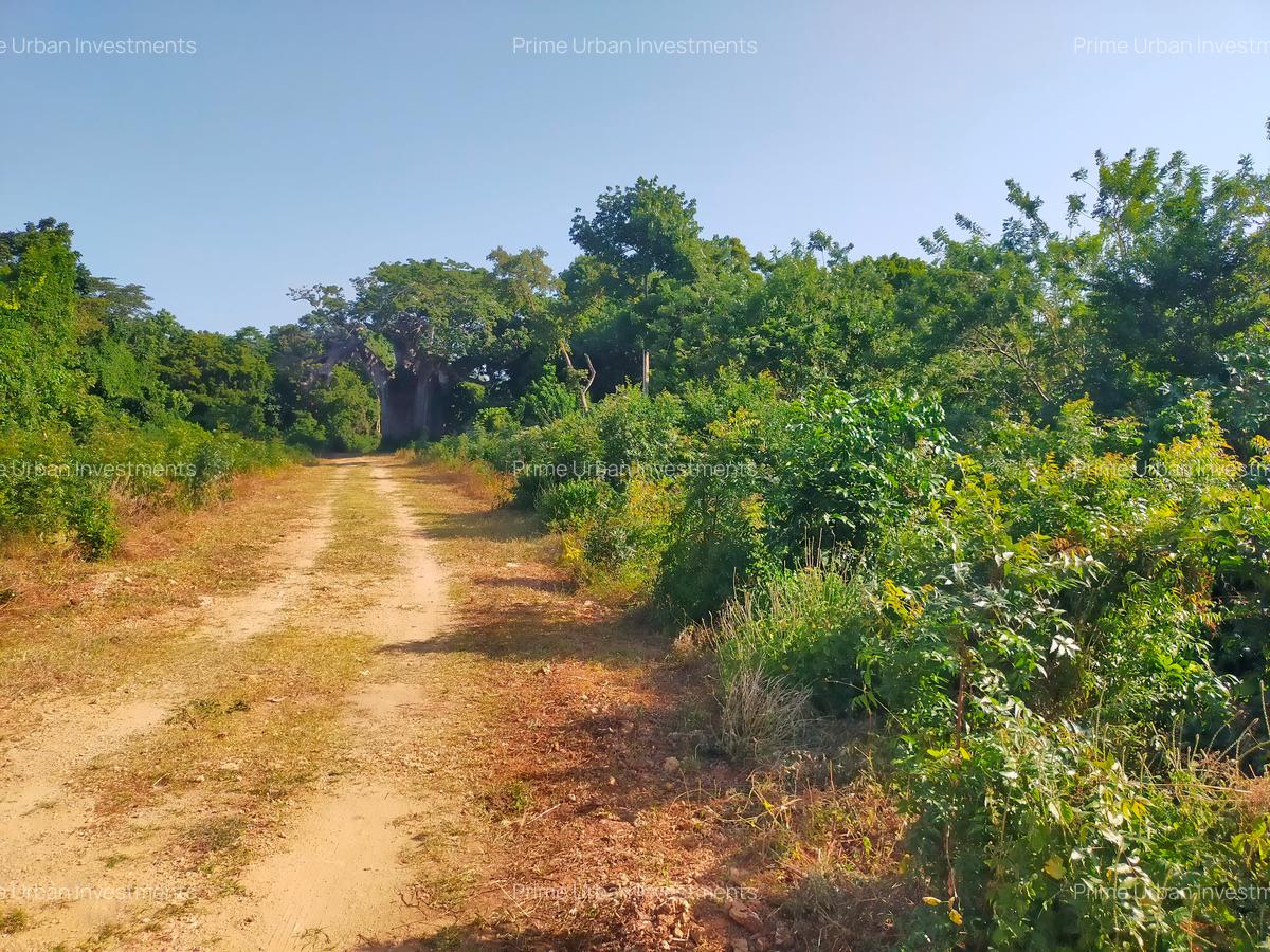 Land in Vipingo - 9