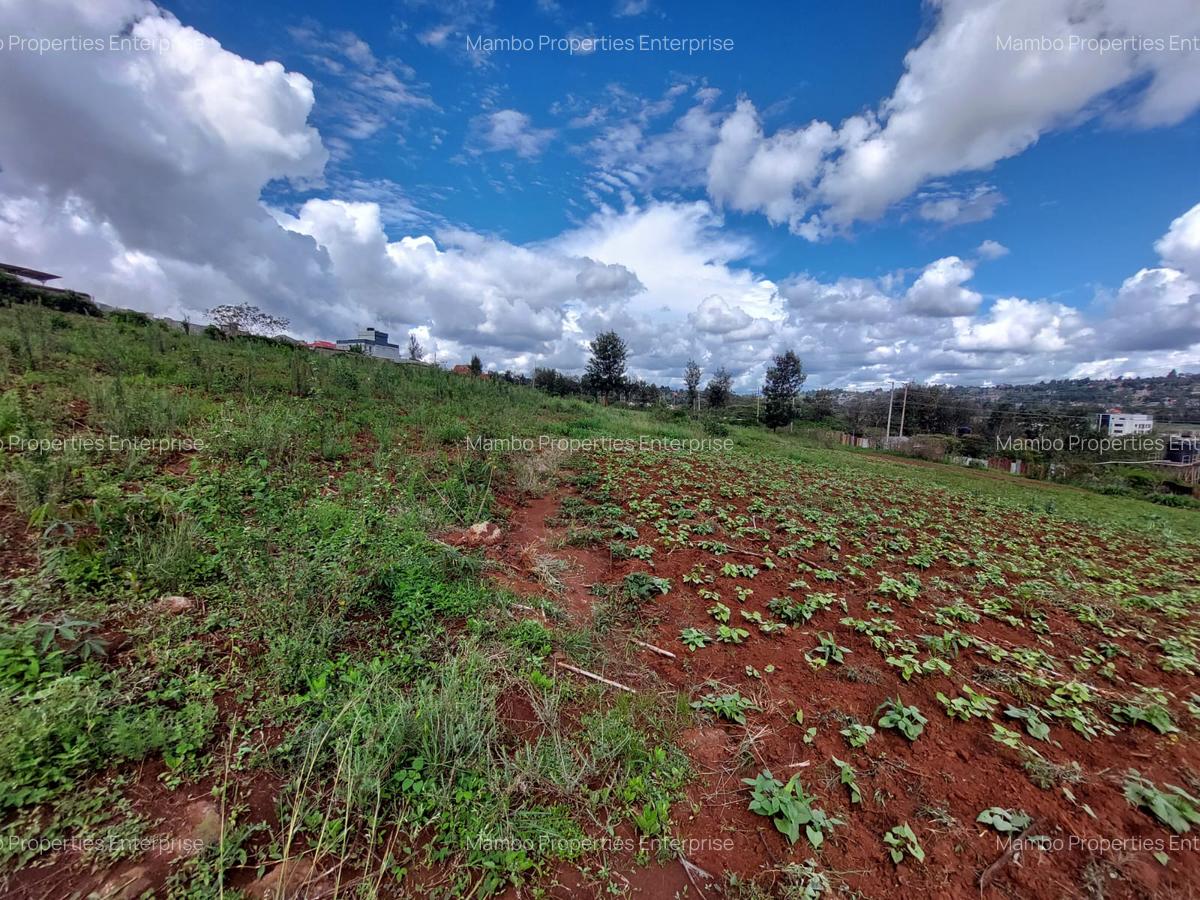 Land at Kibiko - 11