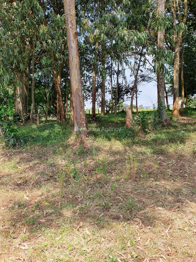 Residential Land at Karen The Hip Road - 5