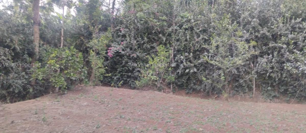 0.5 ac Land at Ololua - 11