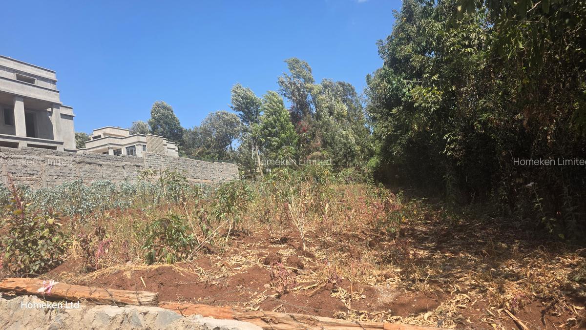 0.25 ac Land at Kerarapon Drive - 6