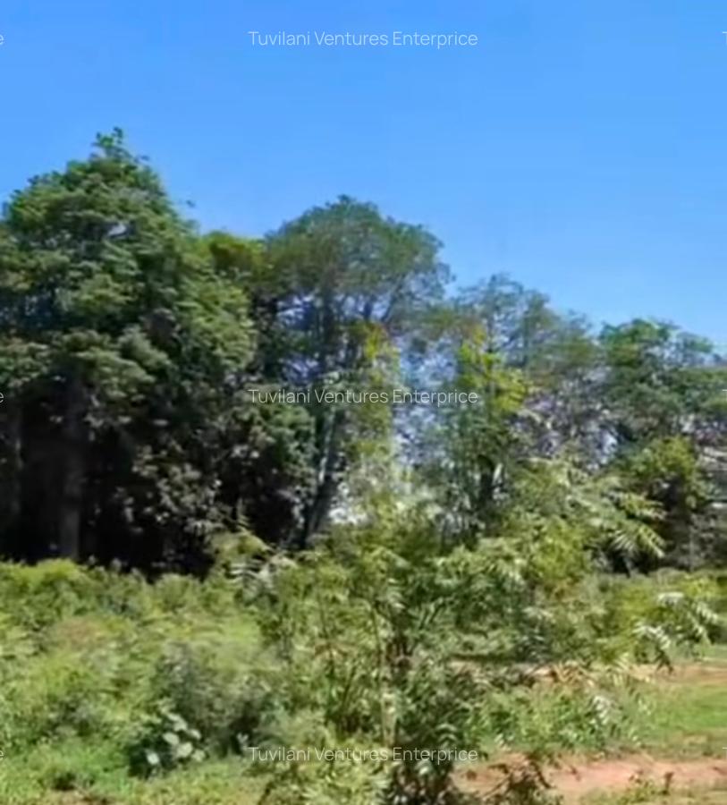 Land at Vipingo - 2
