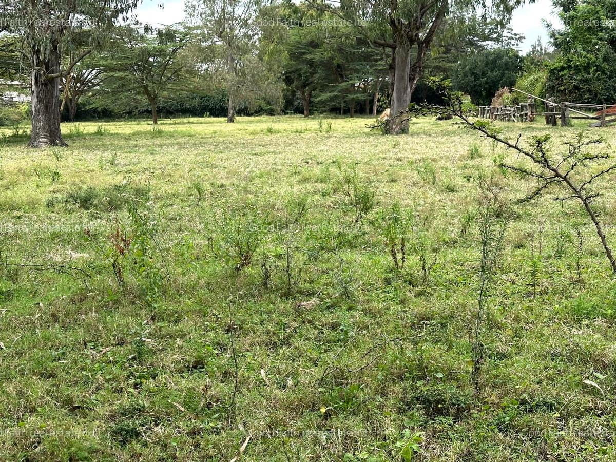 Land in Karen - 1
