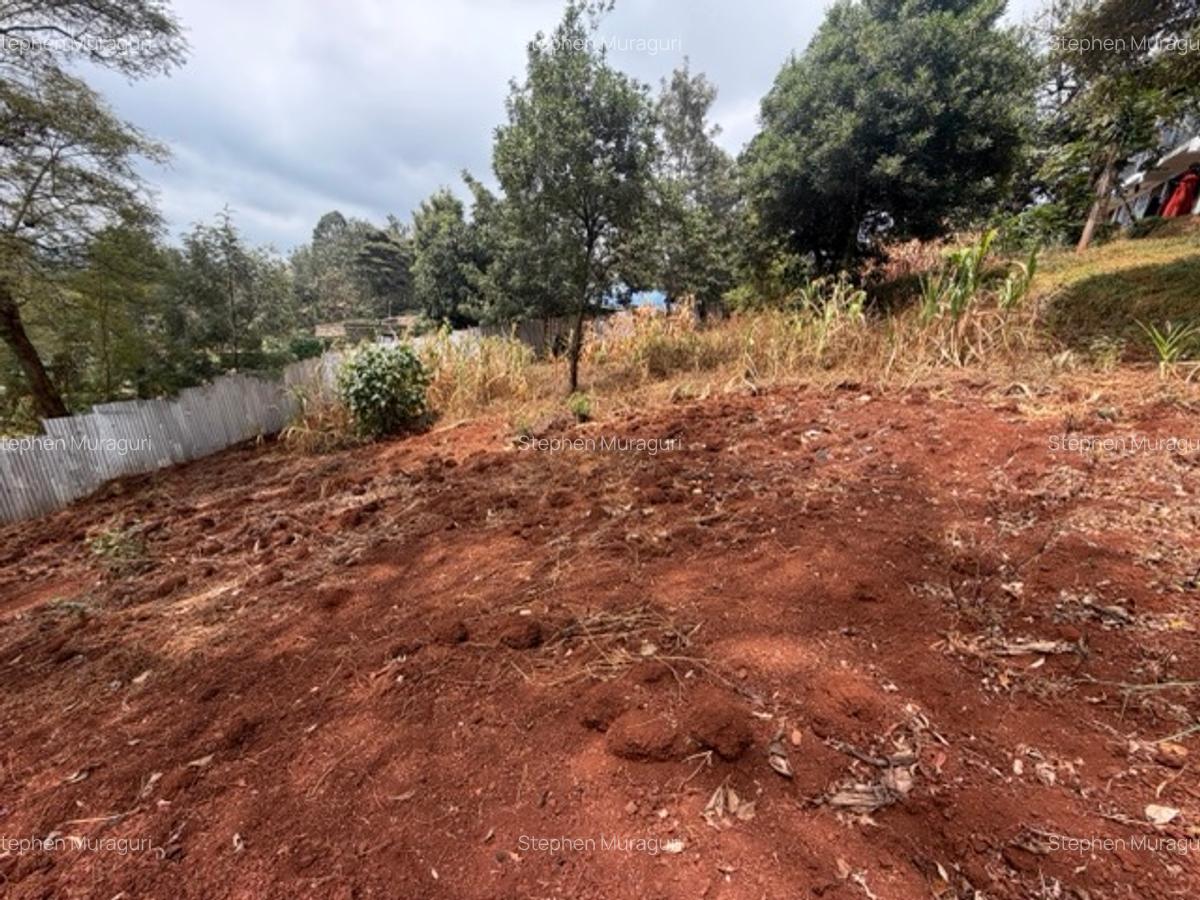 0.25 ac Land in Nyeri - 15