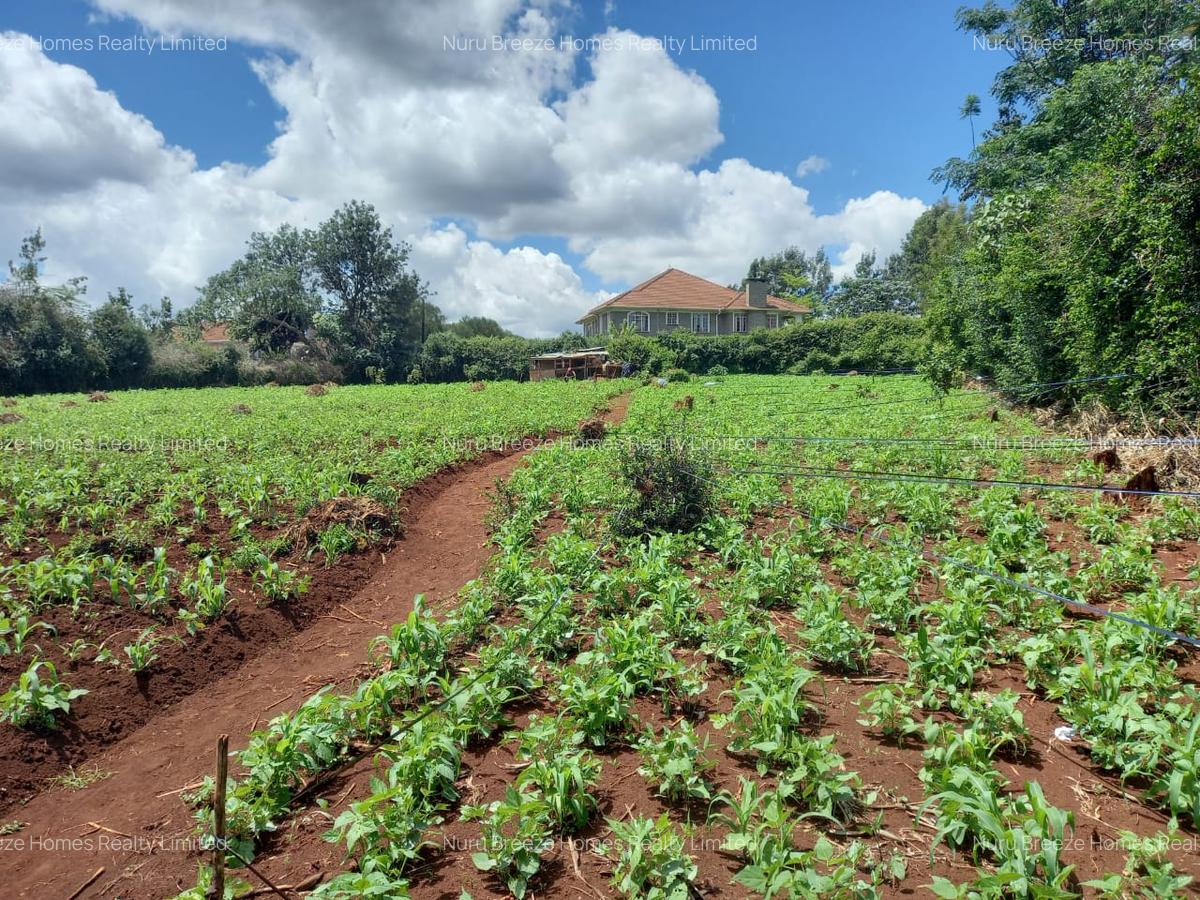 1 ac Residential Land in Runda - 7