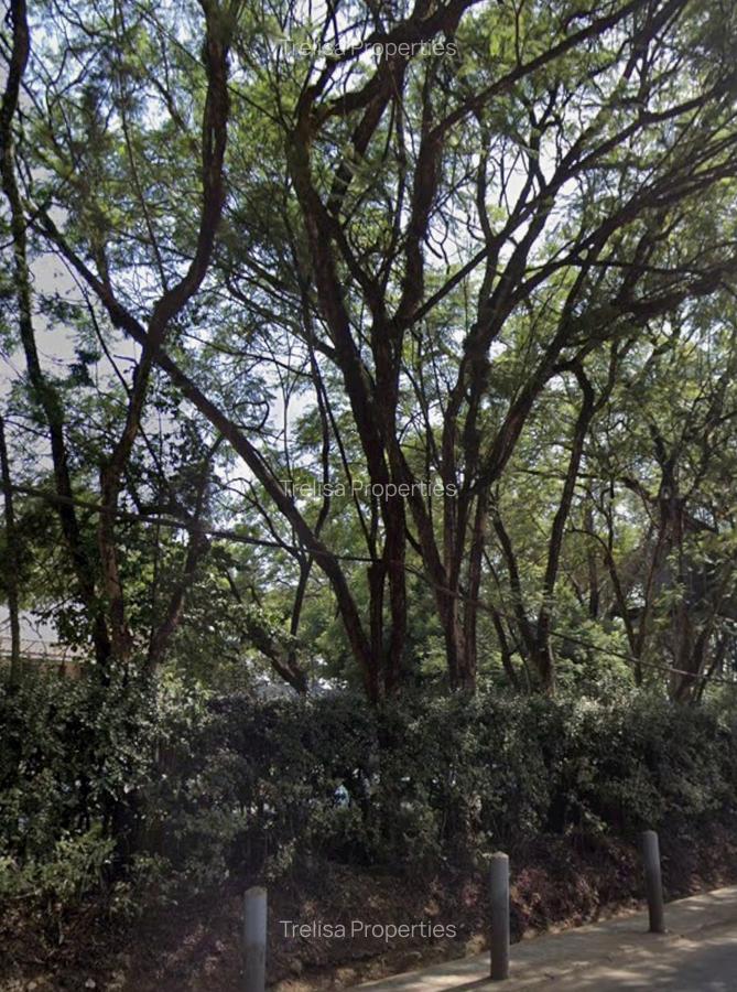 0.75 ac Land at Riara Road - 2