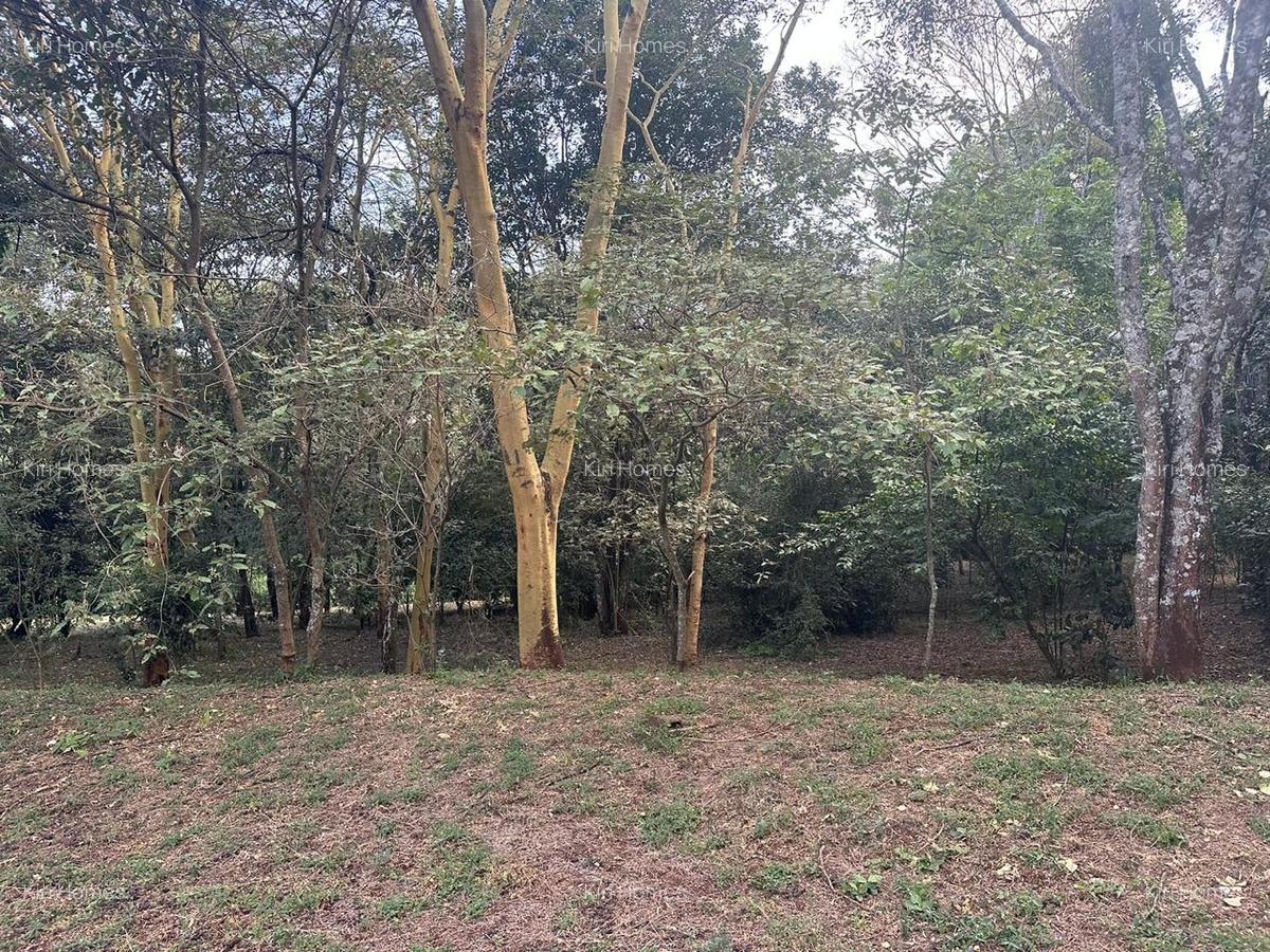 Land in Karen - 1
