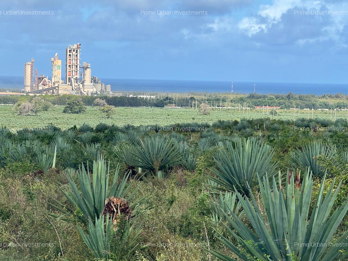 4,046.86 m² Commercial Land at Vipingo Sez ( Special Economic Zone) - 20