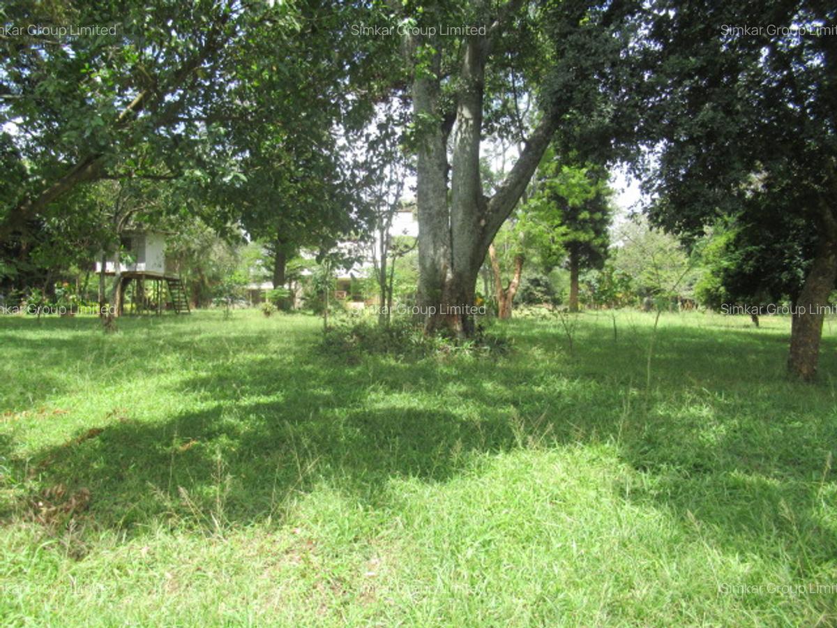 Residential Land at Koitobos Rd - 13