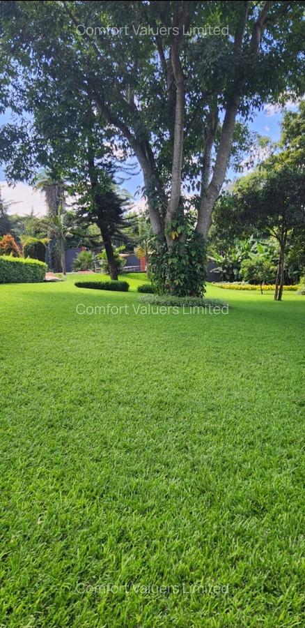 6 Bed Apartment with En Suite at Runda - 12