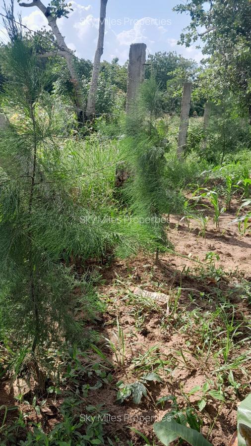 13 ac Land at Majaoni - 11