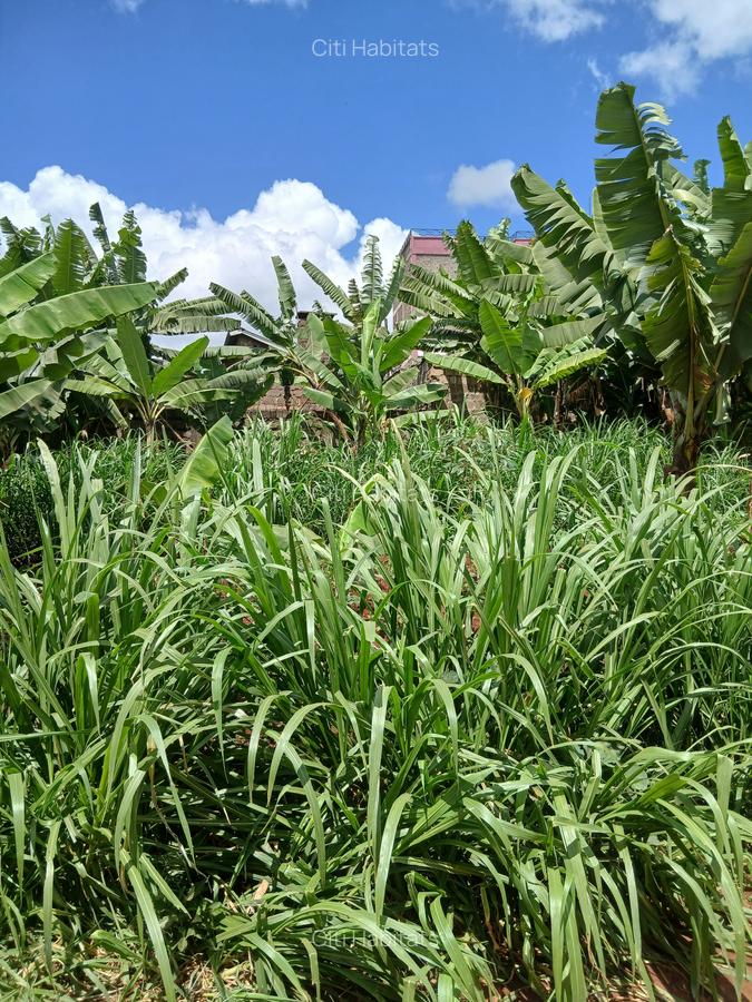 0.12 ac Land in Ruaka - 3