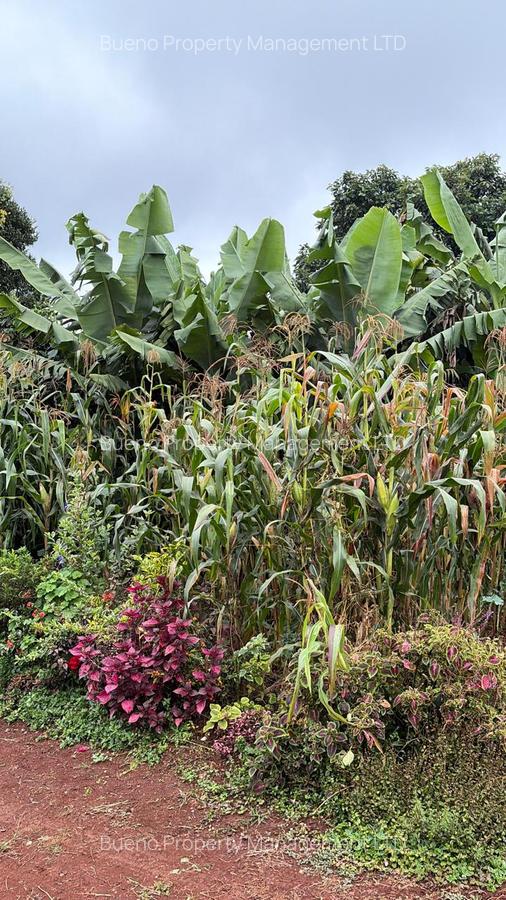 Land in Lower Kabete - 2