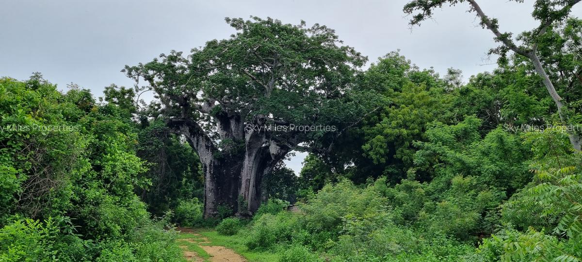 10 ac Land at Kuruwitu - 3