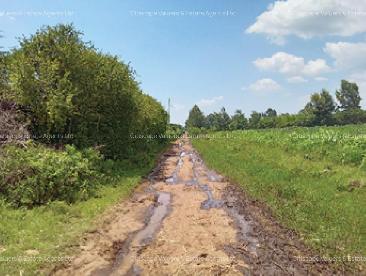 5 ac Land in Naivasha - 4