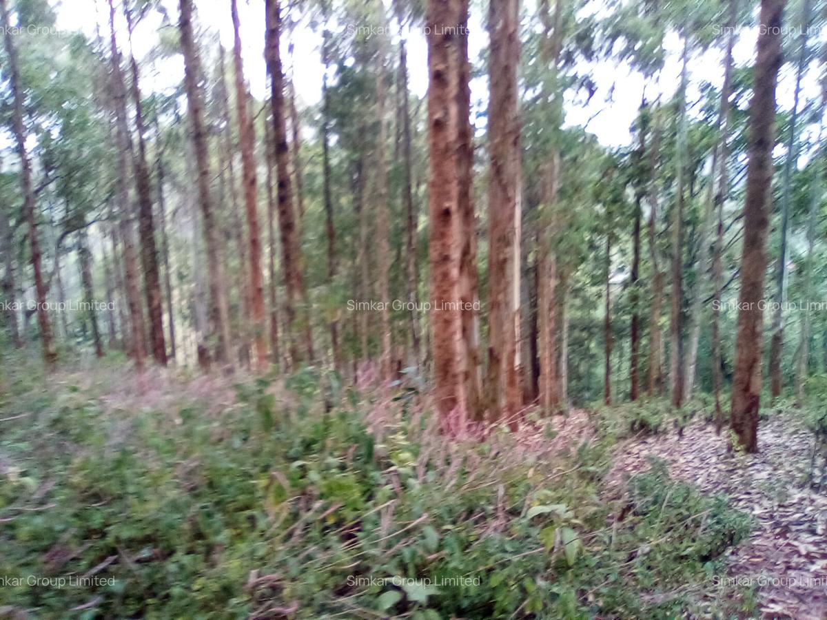 Land at Upper Matasia - 6