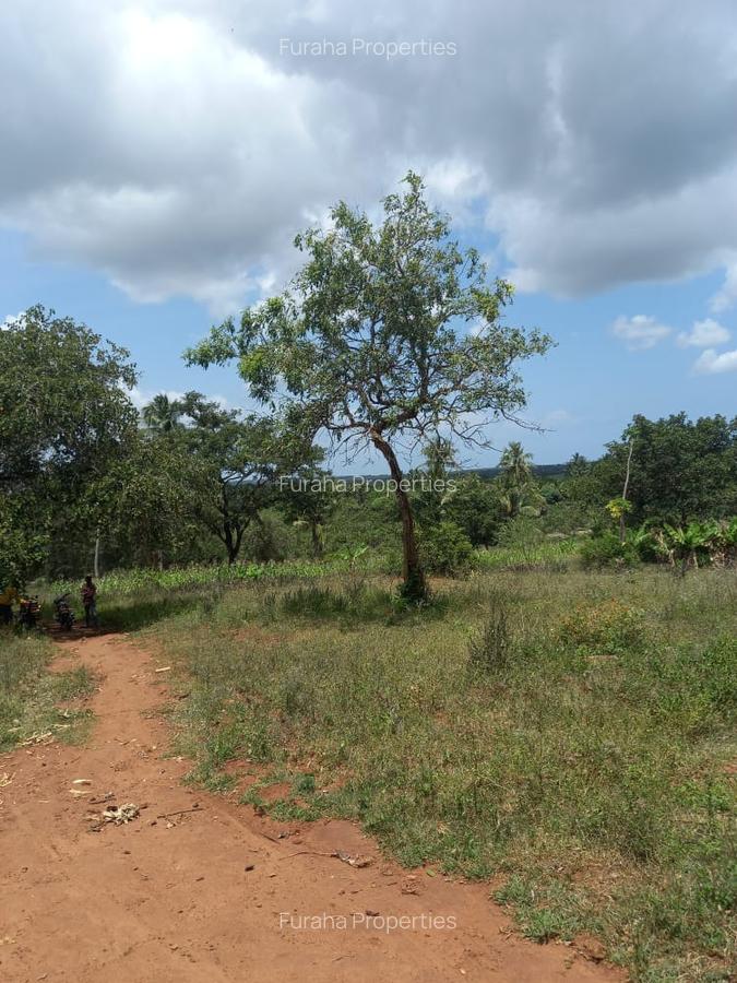 11 ac Residential Land at Ramisi - 1