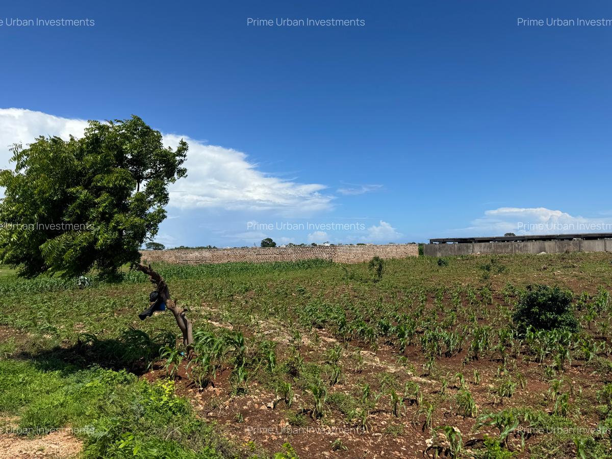Land in Vipingo - 8