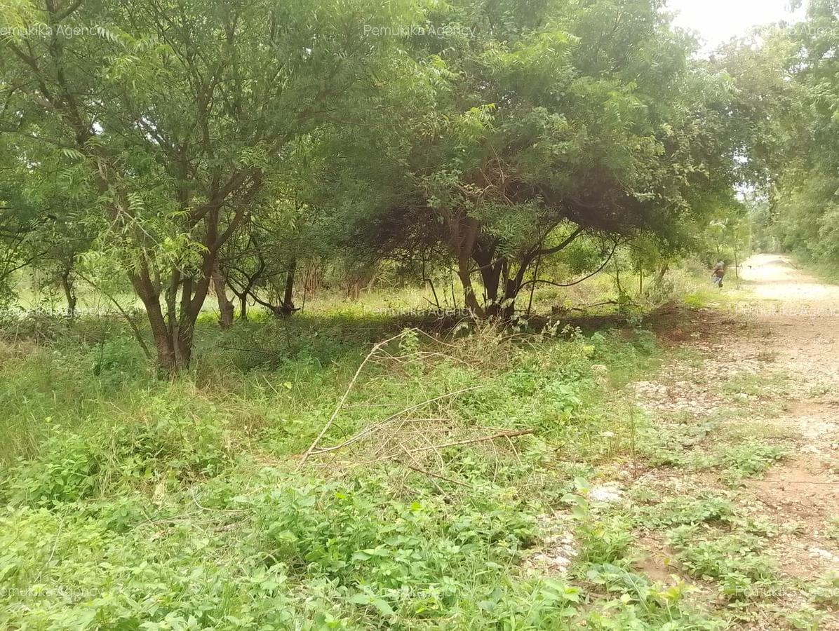 Commercial Land in Vipingo - 4