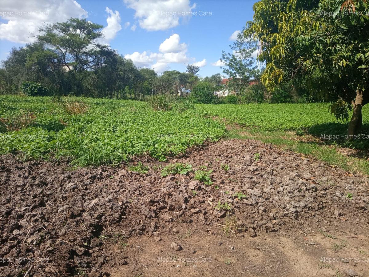1.25 ac Land at Kamakis - 2