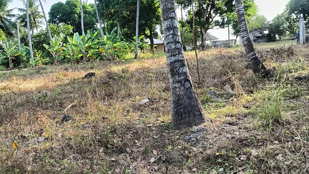 15 ac Land at Bomani - 1