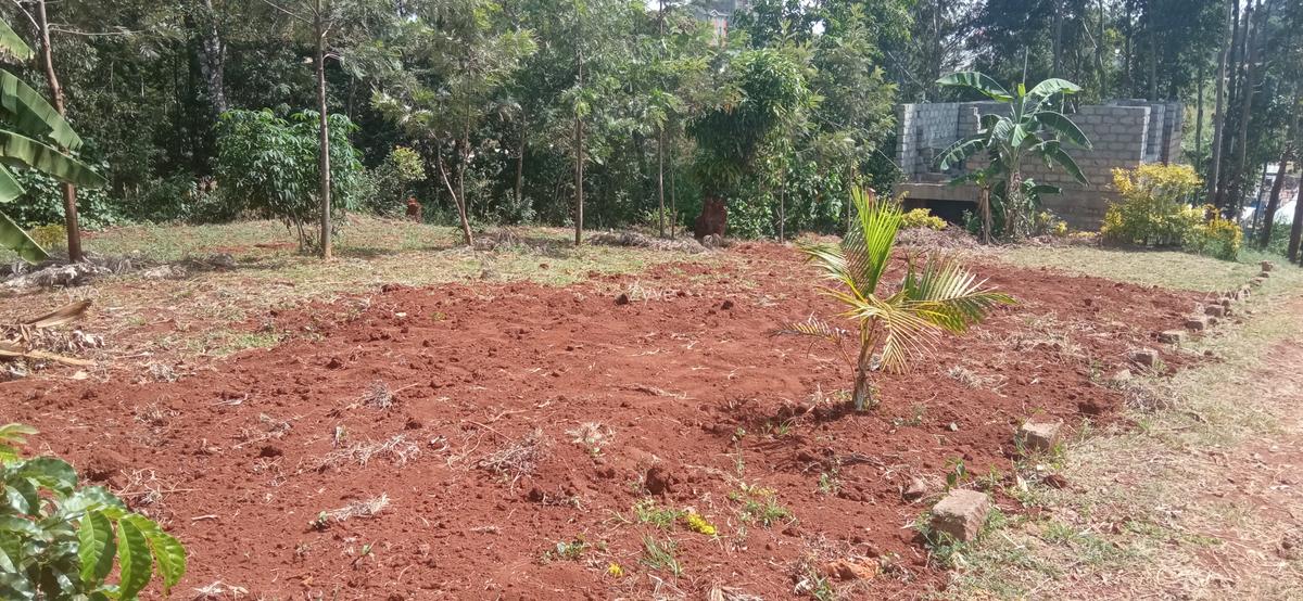 0.25 ac Land at Ruaka - 1