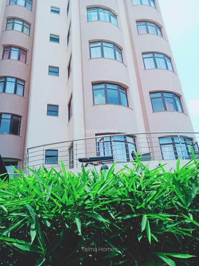 2 Bed Apartment with En Suite at Off Rhapta Road - 14