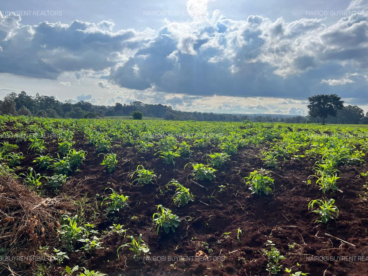 25 ac Land in Kitisuru - 8