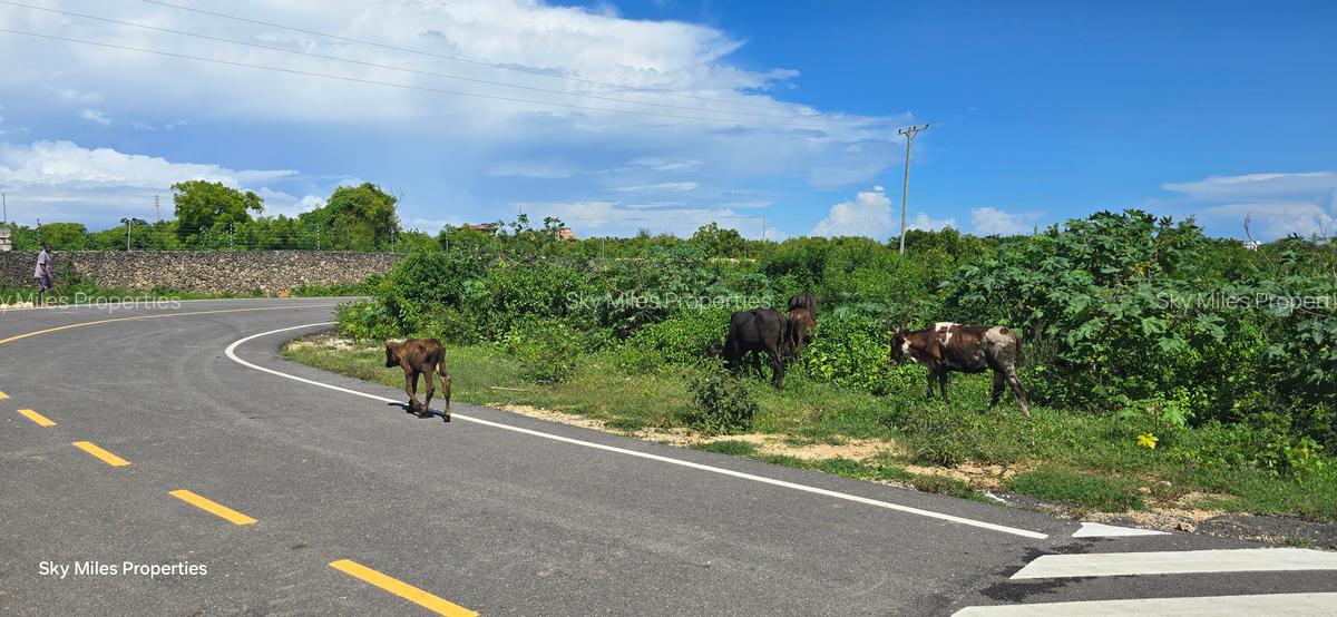 1,000 m² Land at Vipingo - 13