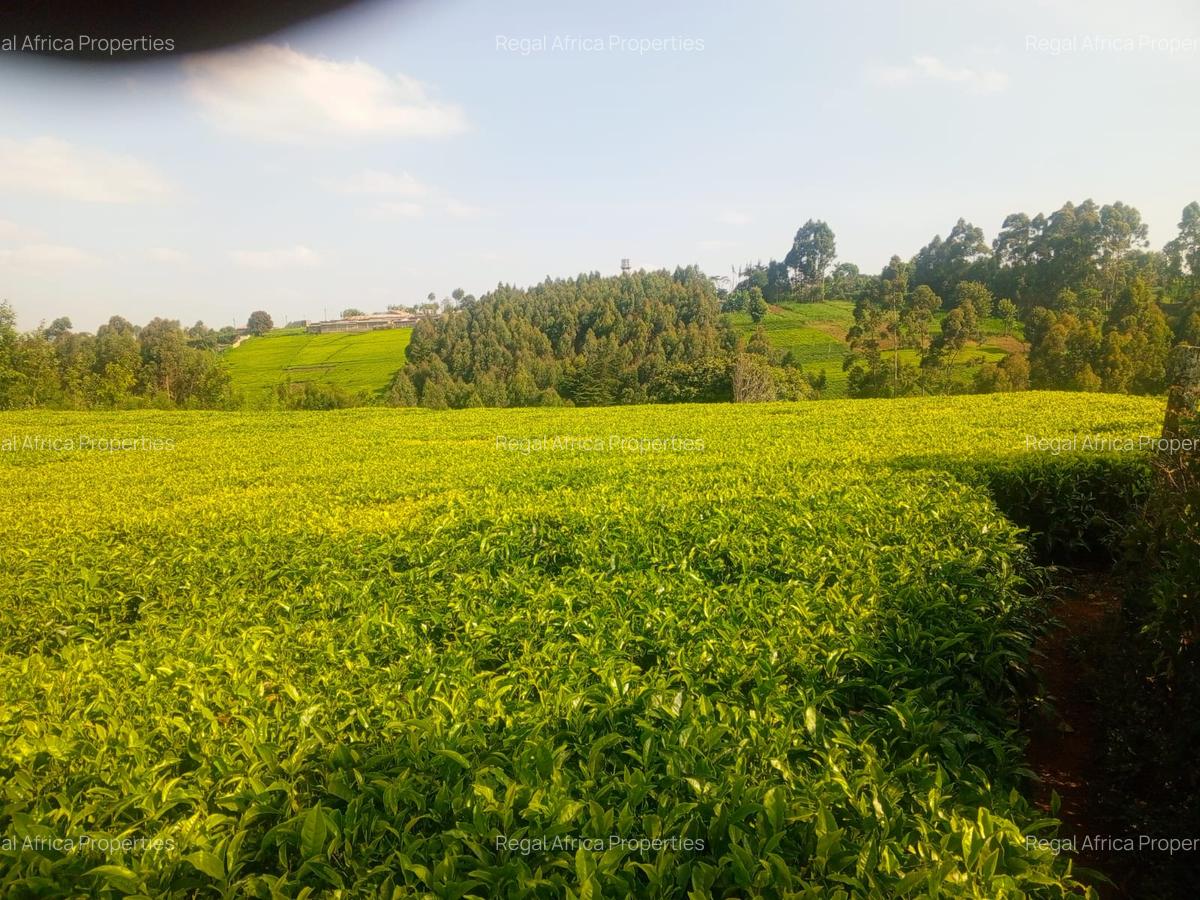 4.8 ac Land in Limuru - 5