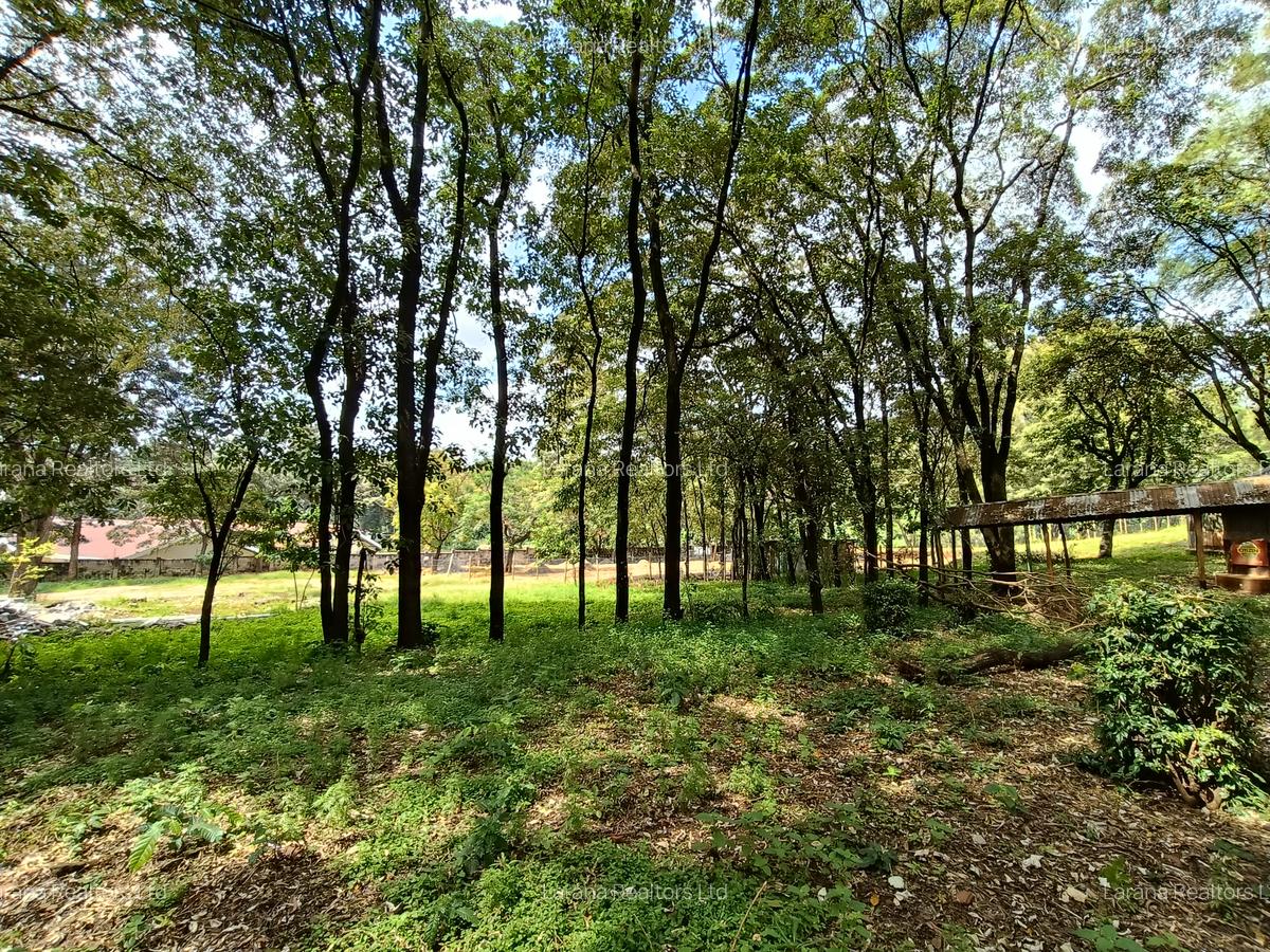4 ac Commercial Land at Mirema Drive - 8