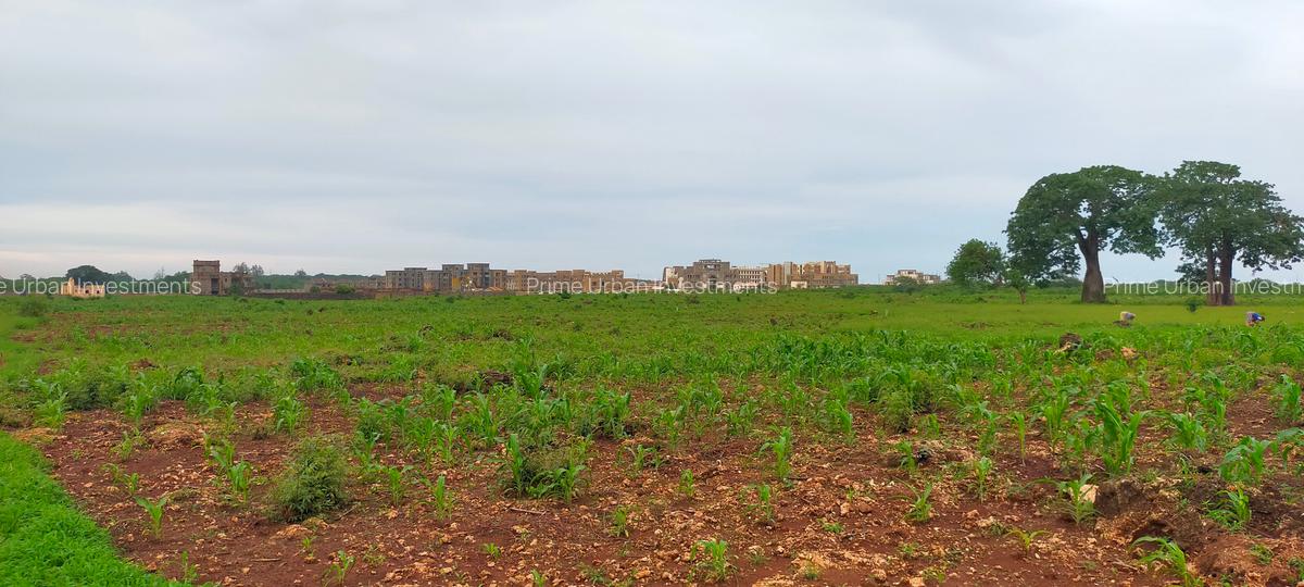 Land at Utalii - Vipingo - 7