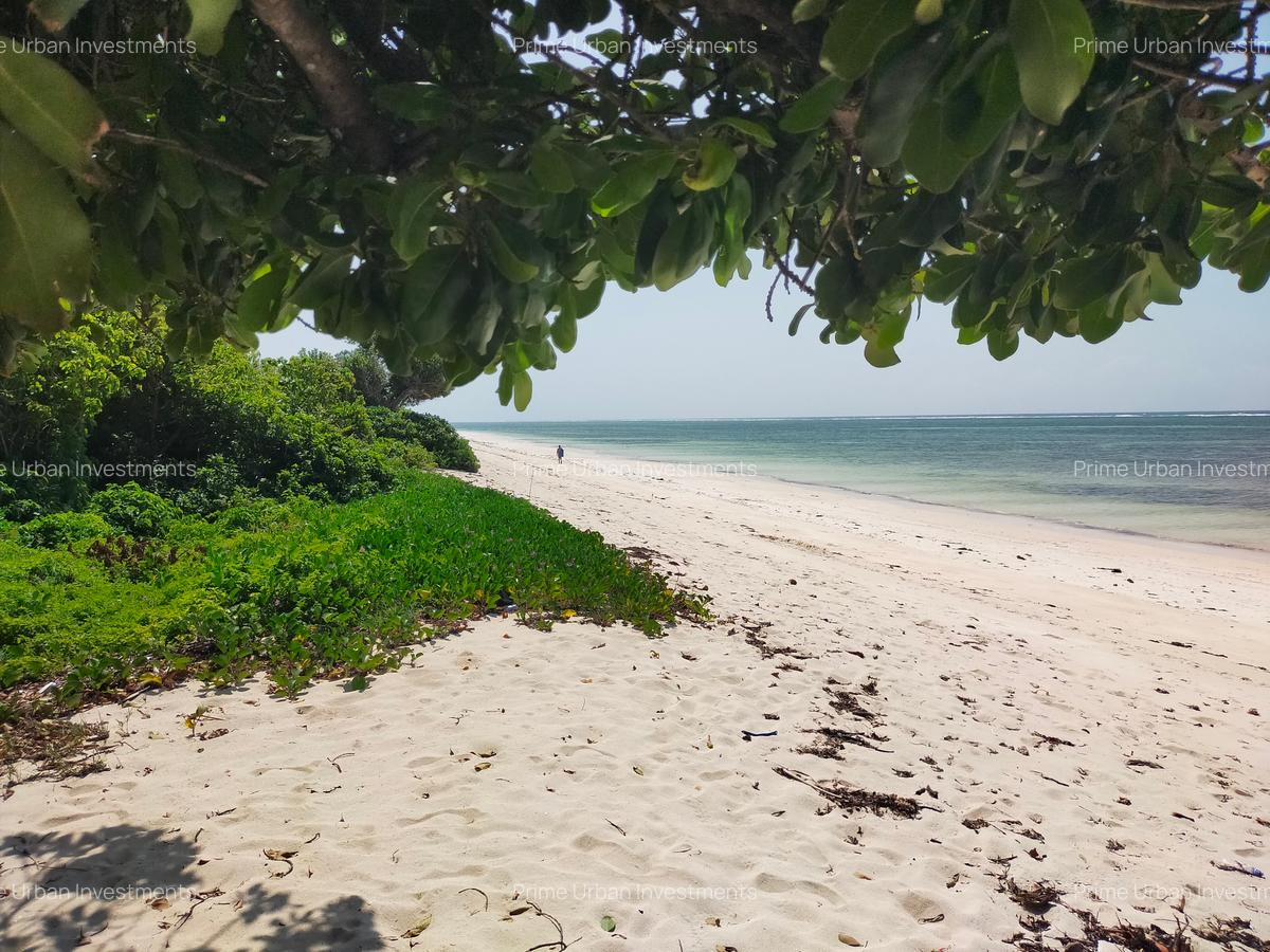Land at Kikambala Beach - 1