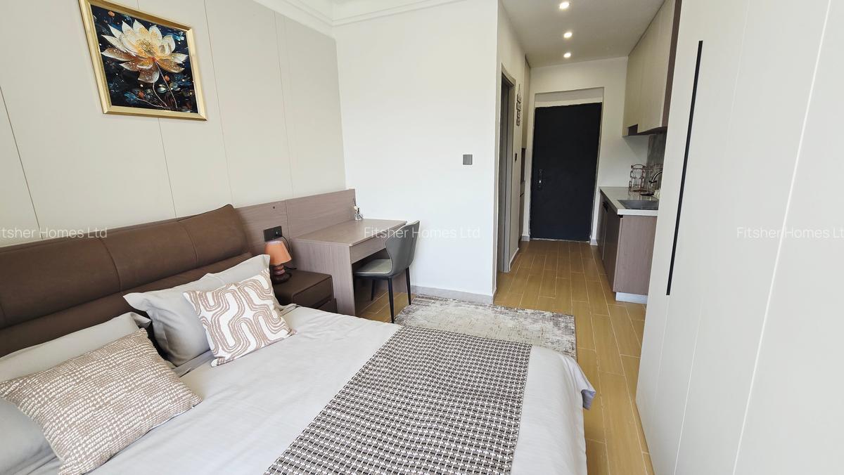 Studio Apartment with En Suite in Thika Road - 9