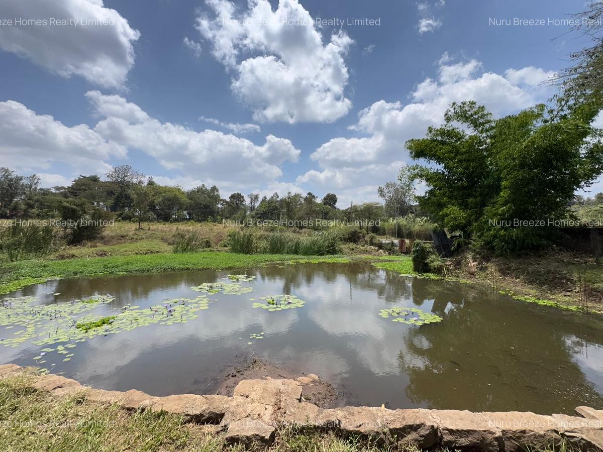 3.75 ac Land in Karen - 7