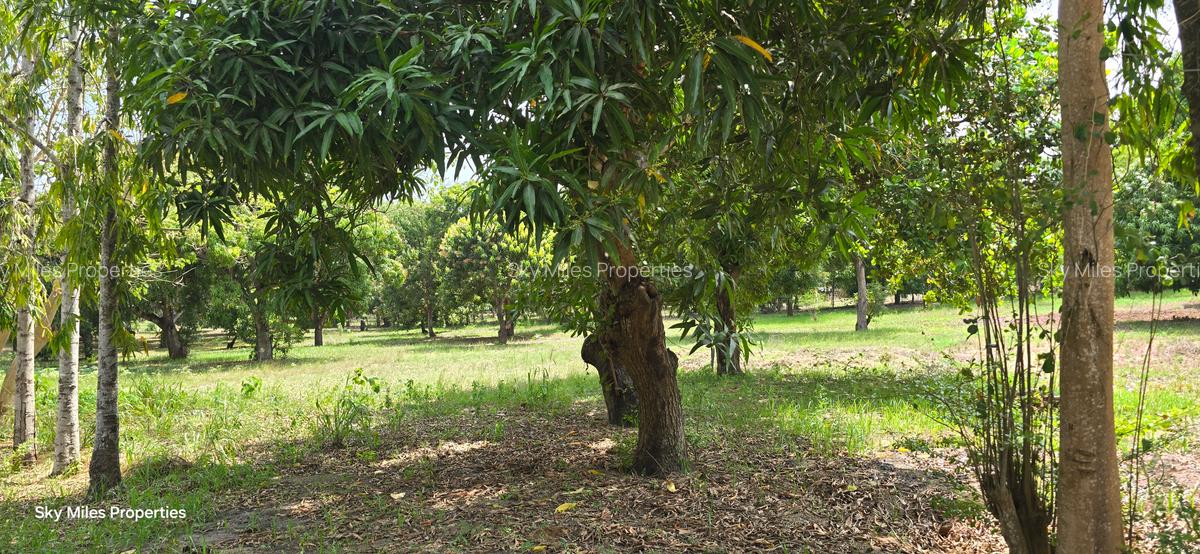 6 ac Land at Mtwapa - 12